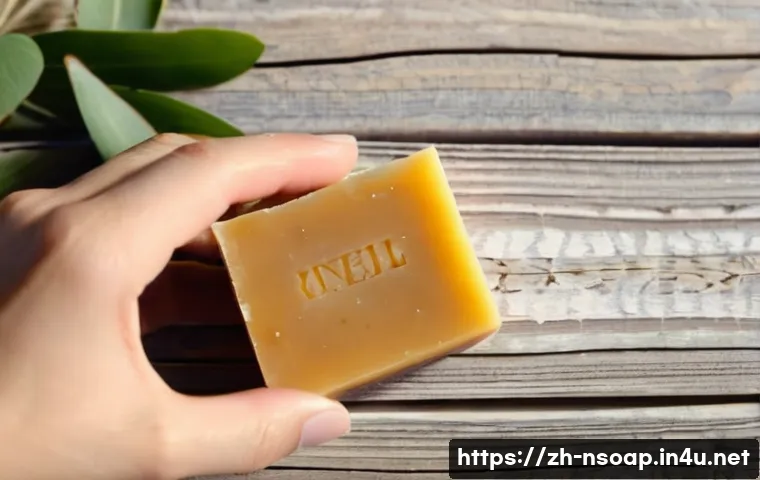 천연비누 종류 관련 이미지 1